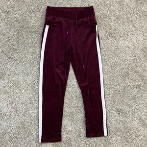 Velvet Burgundy Joggers